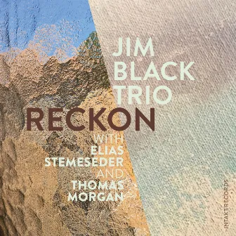 Reckon by Jim Black Trio