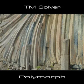 Polymorph by TM Solver