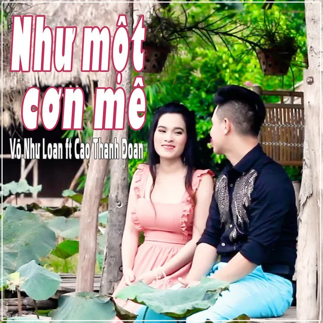 Như Một Cơn Mê