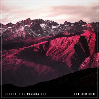 Reincarnation (Remixes) by Gourski