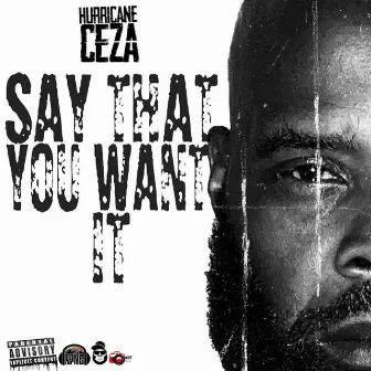 Say That You Want It by Hurricane Ceza