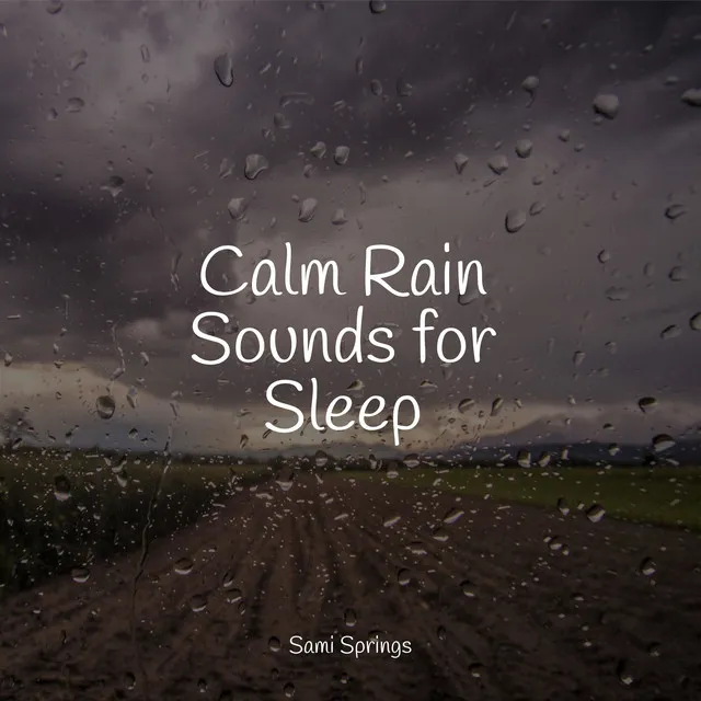 Calm Rain Sounds for Sleep