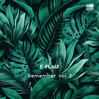 Remember, Vol. 2 by e-Flau!