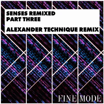 Senses Remixed - Part Three by Ali Ghanavi