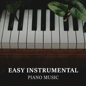 Easy Instrumental Piano Music: Working in Office Melodies by Passion In Notes