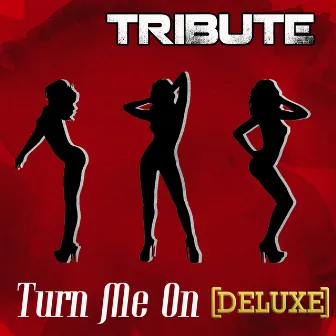 Turn Me On (David Guetta feat. Nicki Minaj Tribute) - Deluxe Single by The Singles