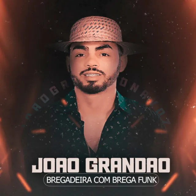 Bregadeira Com Brega Funk