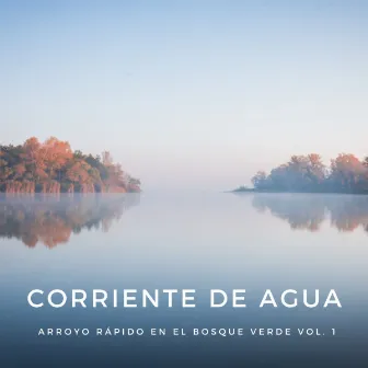 Corriente De Agua: Arroyo Rápido En El Bosque Verde Vol. 1 by Estudio Brillante