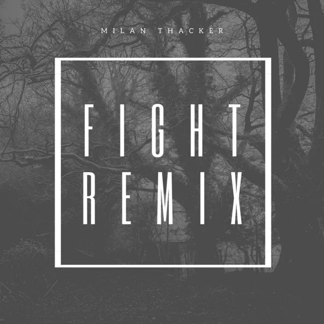 Fight (Remix)