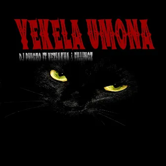 Yekela umona by Fillingz