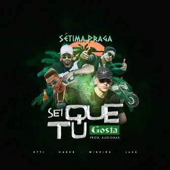 Sei Que Tu Gosta by Casxs