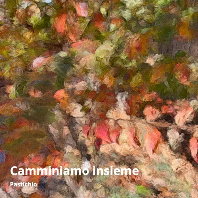 Camminiamo insieme