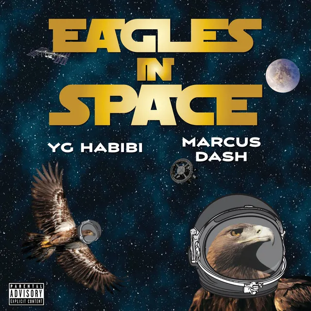 Eagles in Space