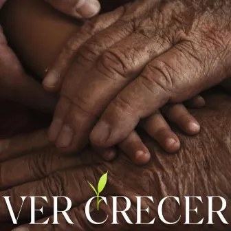 VER CRECER by Aen Ri