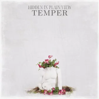 Temper by Hidden In Plain View