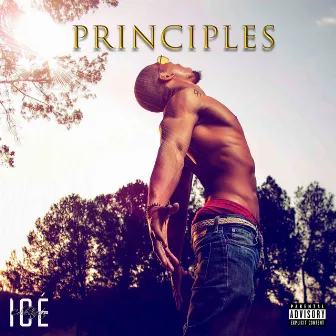 Principles by Ice Coldestnectar