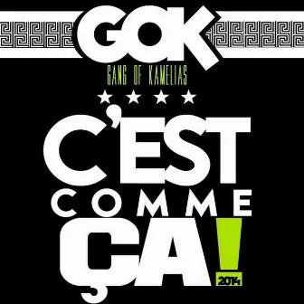 C'est comme ça (2014) by Gok