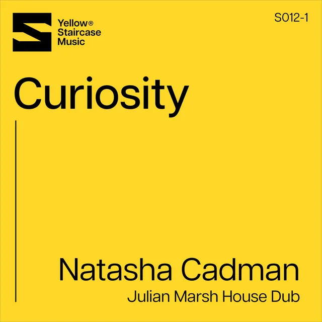 Curiosity - Julian Marsh House Dub