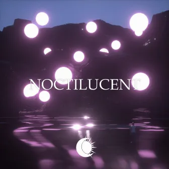 Noctilucent by Solec