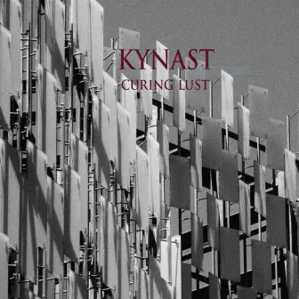 Curing Lust by Kynast