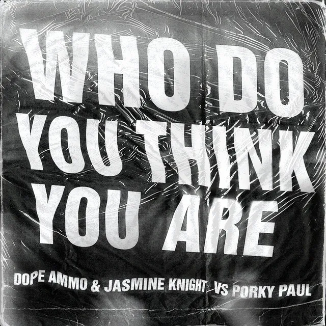 Who Do You Think You Are - MKII Remix