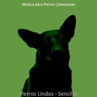 Perros Lindos - Sencillo by Música para Perros Colecciones