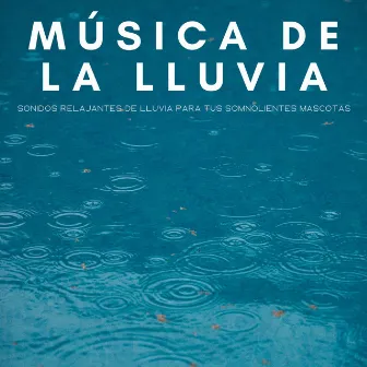 Música De La Lluvia: Sonidos Relajantes De Lluvia Para Tus Somnolientes Mascotas by Música para mascotas