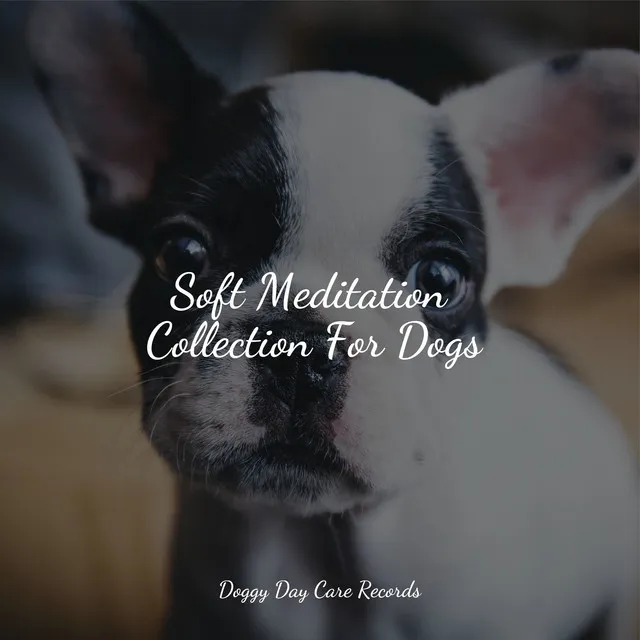 Music for Pets Library