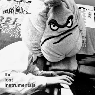 The Lost Instrumentals by Squashy Nice