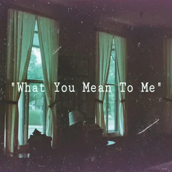 What You Mean To Me by Darius.IMG