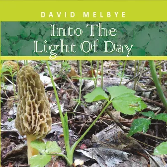 Into the Light of Day by David Melbye