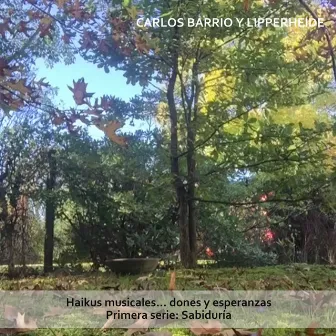 Haikus Musicales... Dones y Esperanzas. Primera Serie: Sabiduría by Carlos Barrio y Lipperheide