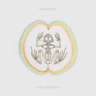 Sapa Sincronia by Numa Gama