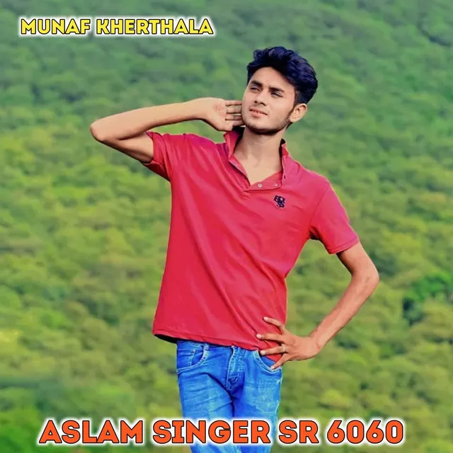 ASLAM SINGER SR 6060