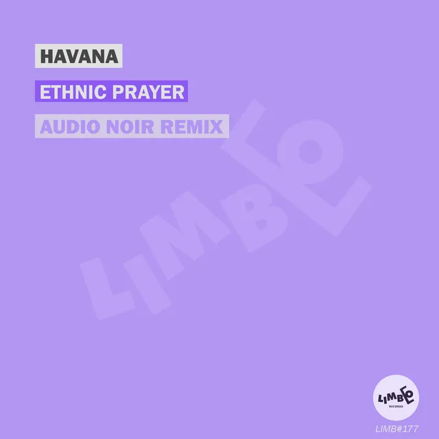 Ethnic Prayer - Audio Noir Remix