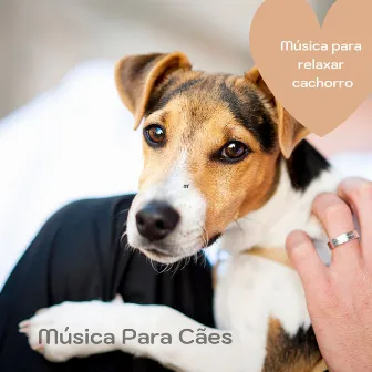 Música para relaxar cachorro by Música Para Cachorro