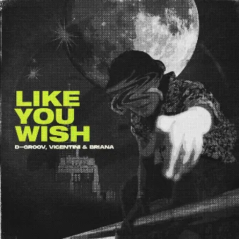 Like You Wish by Briana