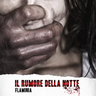 Il rumore della notte by Flaminia