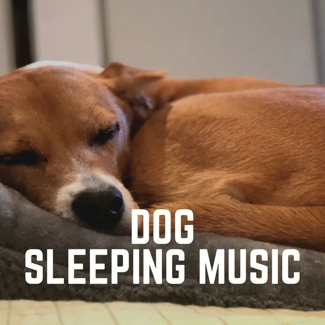 Dog Sleeping Music