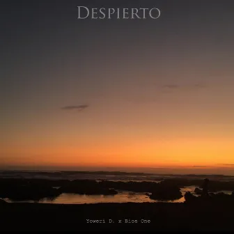 Despierto by Bios One