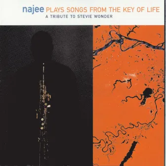 Songs From The Key Of Life: A Tribute To Stevie Wonder by Najee