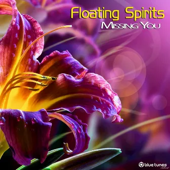 Missing You by Floating Spirits