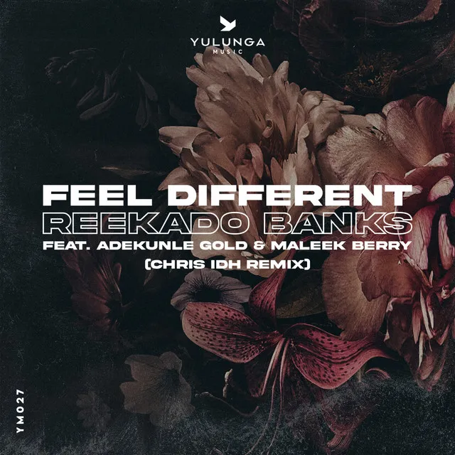 Feel Different - Chris IDH Remix