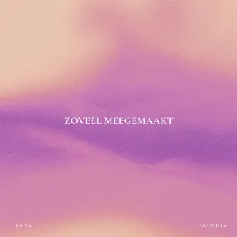 Zoveel Meegemaakt by Shae