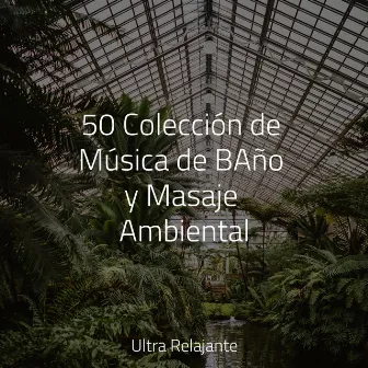 50 Colección de Música de BAño y Masaje Ambiental by Jazz Para Crianças