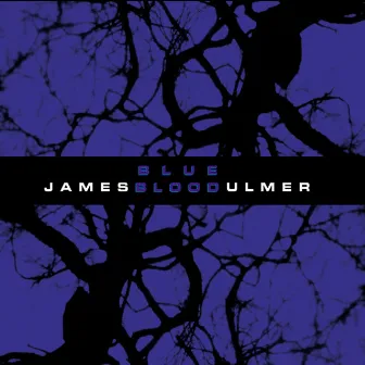 Blue Blood by James Blood Ulmer