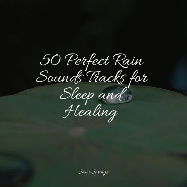 50 Perfect Rain Sounds Tracks for Sleep and Healing