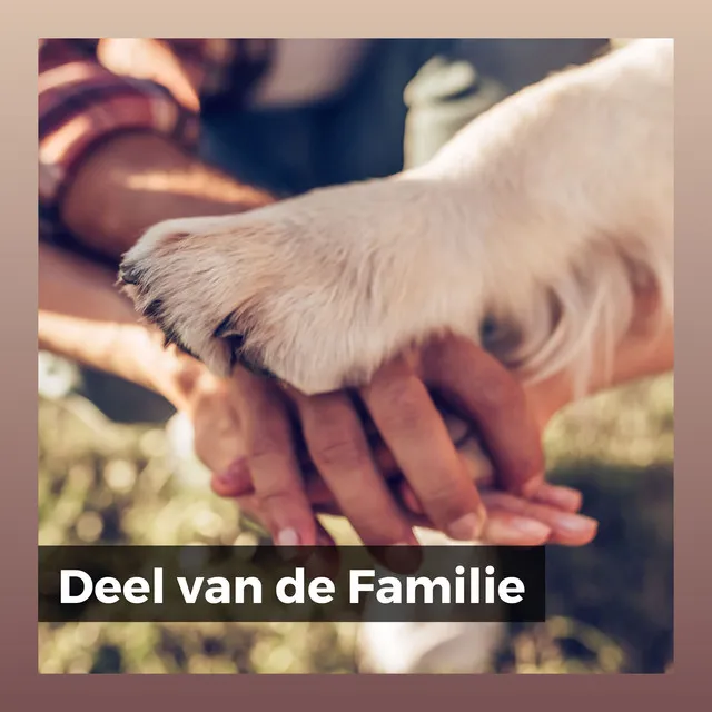 Deel van de Familie