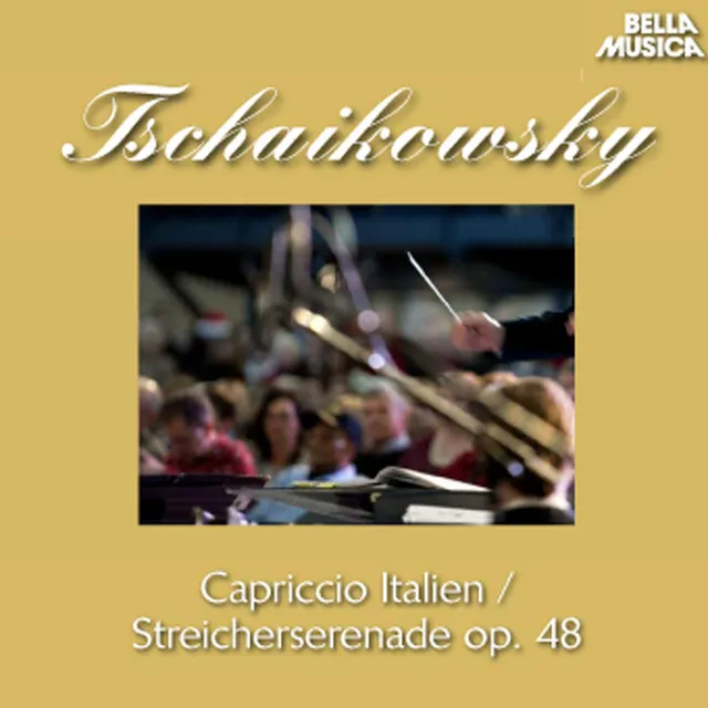 Serenade für Streichorchester in C Major, Op. 48: No. 2, Walzer