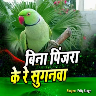 Bina Pinjara Ke Re Suganava by Preeti Singh